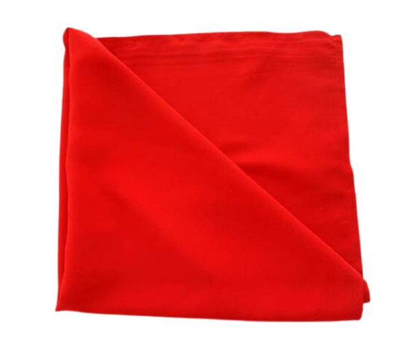 Pañuelo rojo escudo de Nabarra 